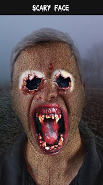 Imagen 2 para Scary Face Changer