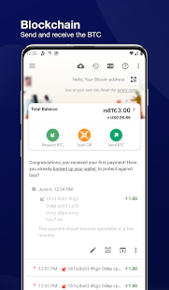 Image 0 for Blockchain