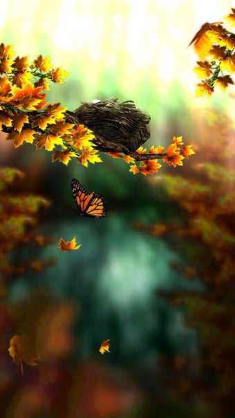 Imagen 6 para Season Zen HD