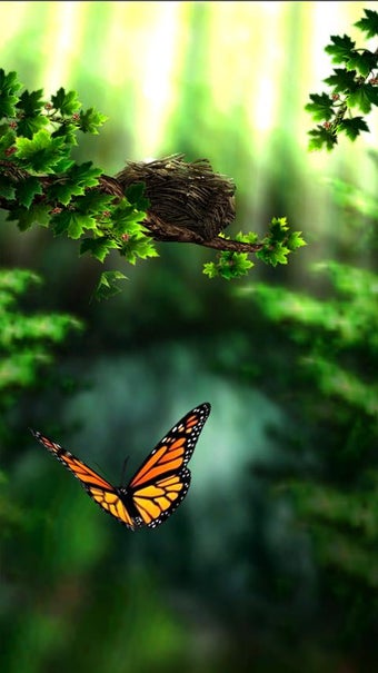 Imagen 5 para Season Zen HD