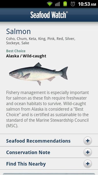Imagen 0 para Seafood Watch
