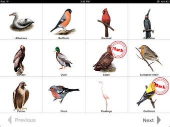 Image 0 for Birds Kingdom Free