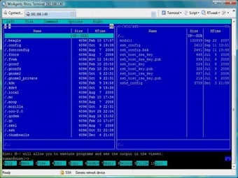 Imagen 0 para Rhino Terminal