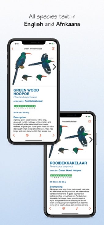 Image 1 for Sasol eBirds 5th Edition