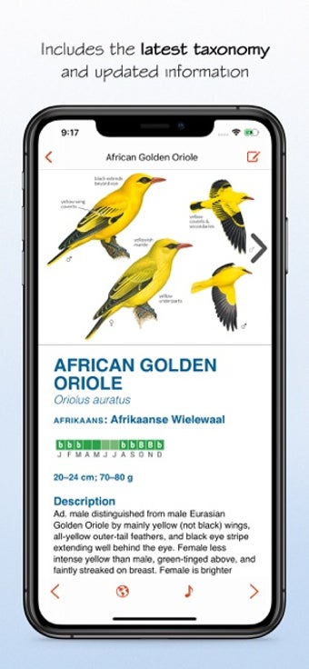 Image 0 for Sasol eBirds 5th Edition