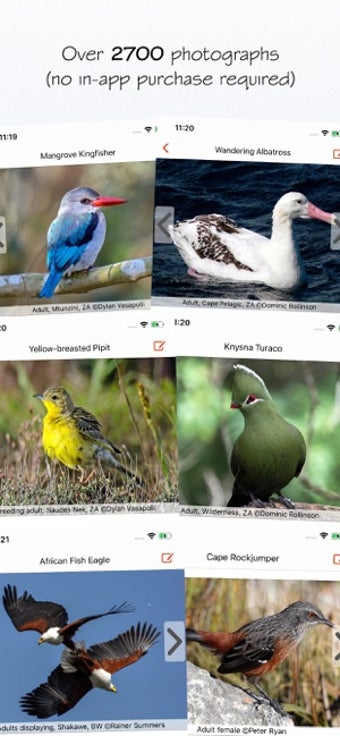 Image 3 for Sasol eBirds 5th Edition
