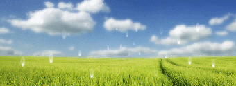 Image 0 for Dream-Rain Animated Deskt…