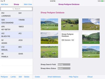 Image 0 for Sheep Pedigree Database