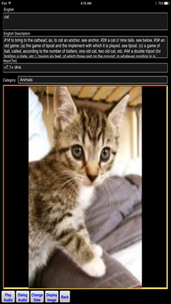 Image 0 for Speak Akan Twi Language