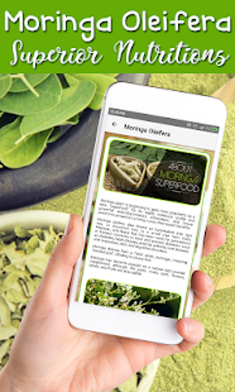 Image 2 for Best Benefit Moringa Olei…