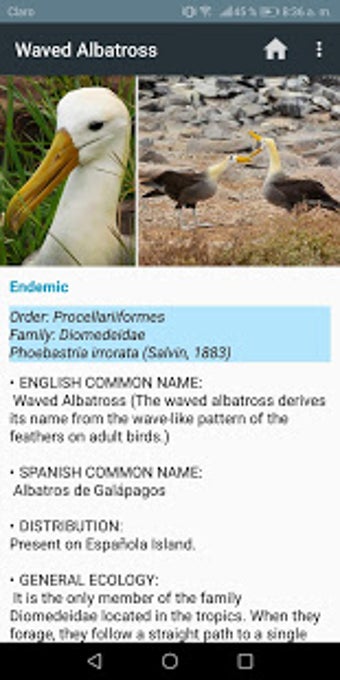 Imagen 3 para Galapagos Wildlife