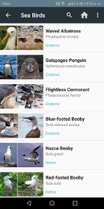 Imagen 2 para Galapagos Wildlife