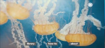 Image 0 for Video Fact Book