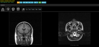 Imagen 1 para RadSlice ImgServer