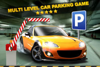 Image 0 for Multi Level Parking Simul…