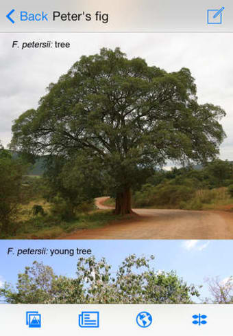 Image 0 for eTrees of Southern Africa…