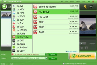 Image 3 for MKV Converter Studio