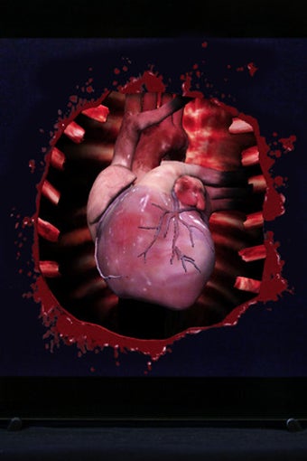 Image 4 for HeartCam