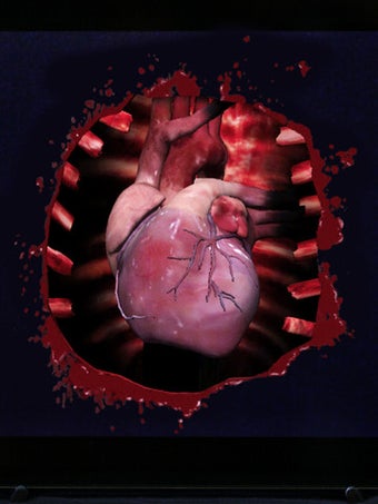 Image 0 for HeartCam