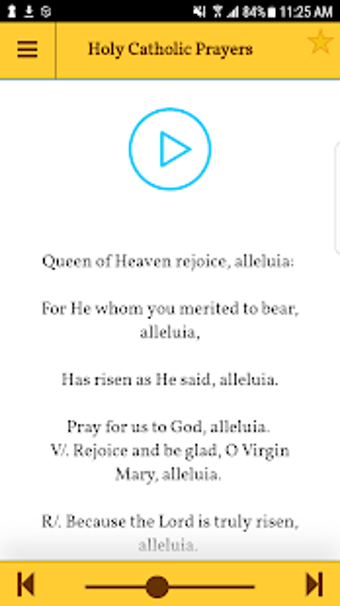Imagen 1 para Catholic Prayers with Aud…