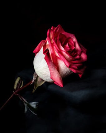 Imagen 1 para Good morning messages and…