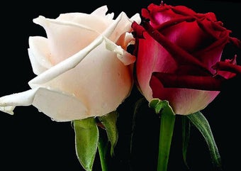 Imagen 3 para Good morning messages and…