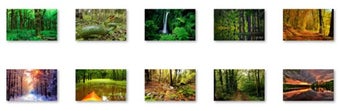 Imagen 0 para Tranquil Forest Windows 7…