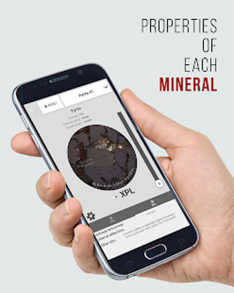 Image 2 for Virtual Microscope - Ore …