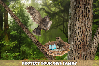 Image 1 for Wild Owl Bird Family Surv…