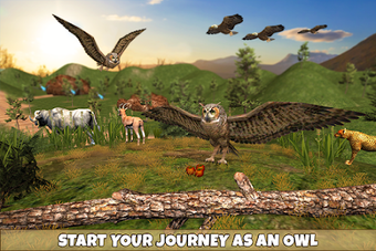 Image 0 for Wild Owl Bird Family Surv…