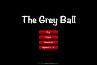 Image 0 for The Grey Ball