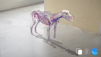 Image 0 for EasyAnatomy: 3D Canine An…