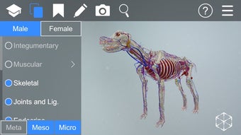 Image 2 for EasyAnatomy: 3D Canine An…