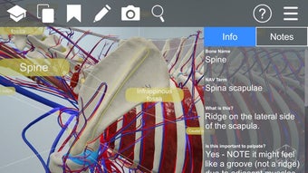Image 1 for EasyAnatomy: 3D Canine An…