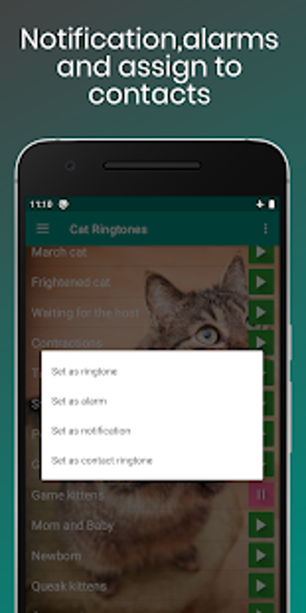 Image 0 for Cat Sounds Ringtones Purr