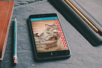 Image 2 for Cat Sounds Ringtones Purr