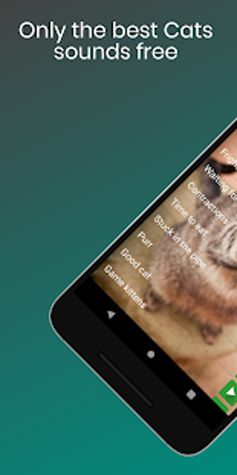 Image 1 for Cat Sounds Ringtones Purr