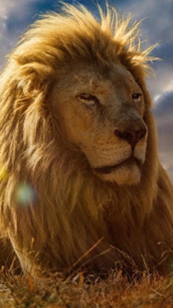 Image 0 for Animal Wallpapers HD