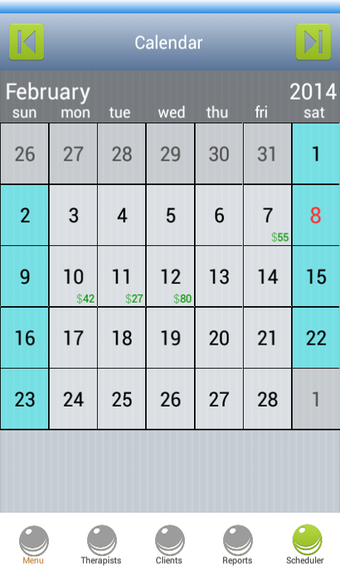 Image 1 for Massage Scheduling Softwa…