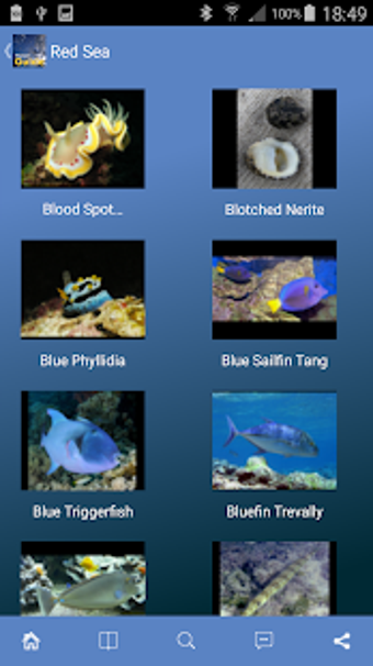 Image 1 for Pocket Guide Red Sea