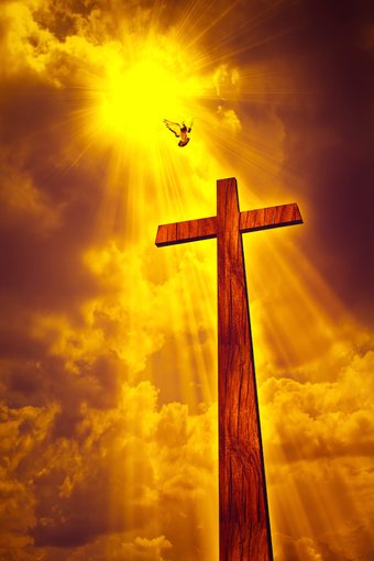Imagen 0 para Holy Bible King James Ver…