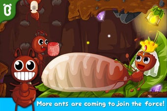 Image 0 for Ant Colonies - Educationa…