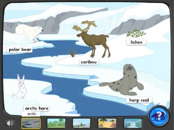Image 7 for Wild Habitat Preschool Ga…