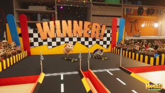 Image 0 for Hamster Playground