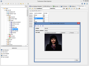 Imagen 2 para Toolsverse Data Explorer