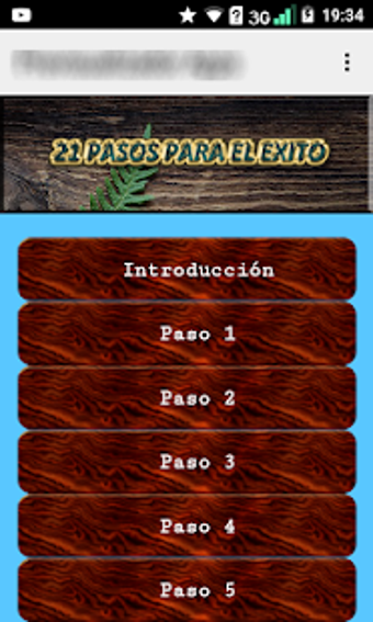 Imagen 1 para El Exito (21 pasos)