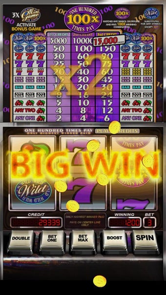 Image 1 for Slot Machine: Double 100X…