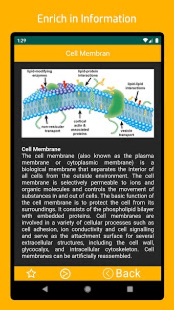 Image 2 for Learn Biochemistry Offlin…