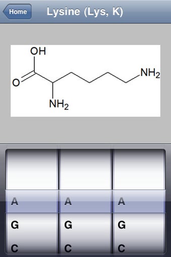 Image 0 for Genetic Code