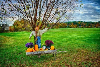 Image 0 for Vermont Wallpaper Travel